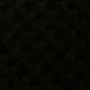 Meet your Posher, Jesse